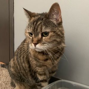 Meet your Posher, Jayden